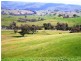 276 Kanumbra – Gobur Rd, Yarck VIC 3719