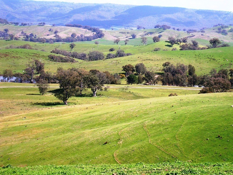 276 Kanumbra – Gobur Rd, Yarck VIC 3719