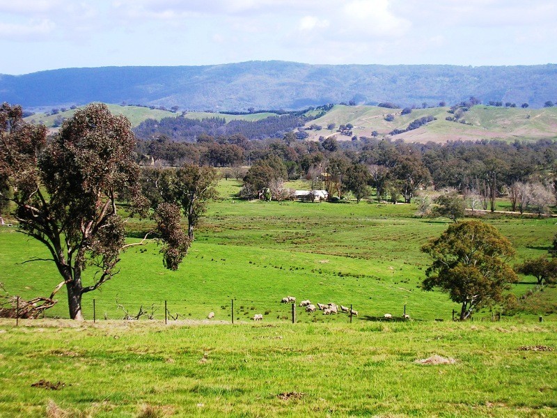 276 Kanumbra – Gobur Rd, Yarck VIC 3719