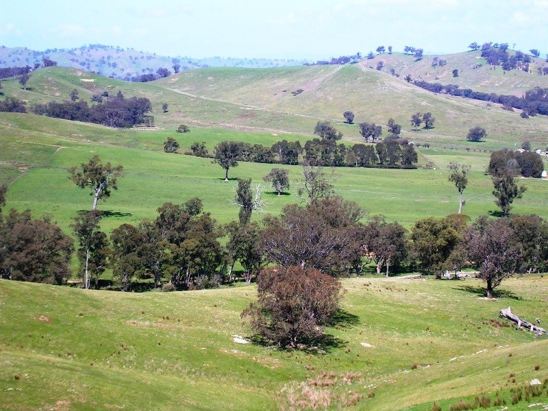 276 Kanumbra – Gobur Rd, Yarck VIC 3719