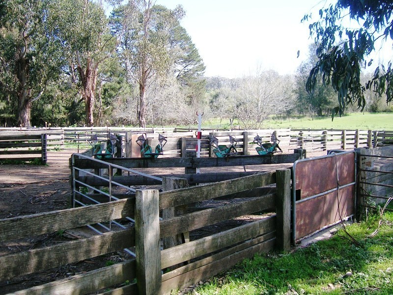 276 Kanumbra – Gobur Rd, Yarck VIC 3719