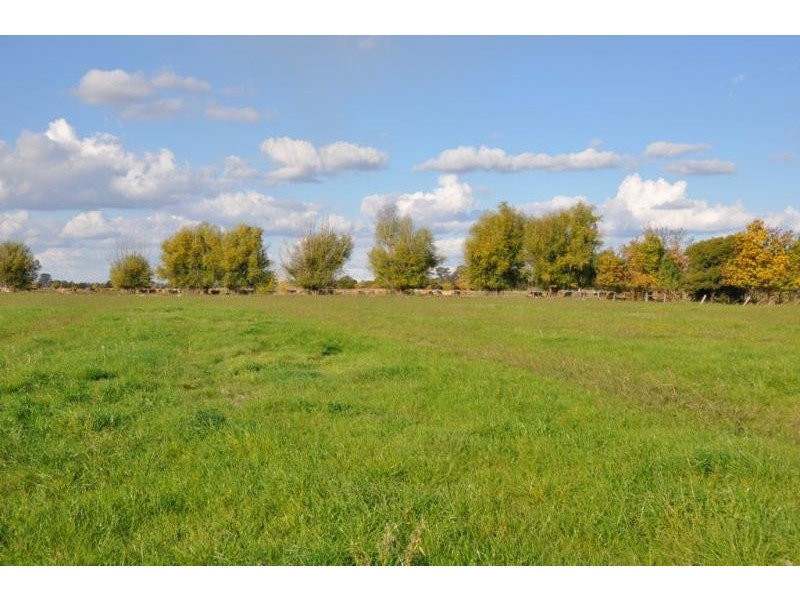 50 Zeerust School Road, Zeerust VIC 3634