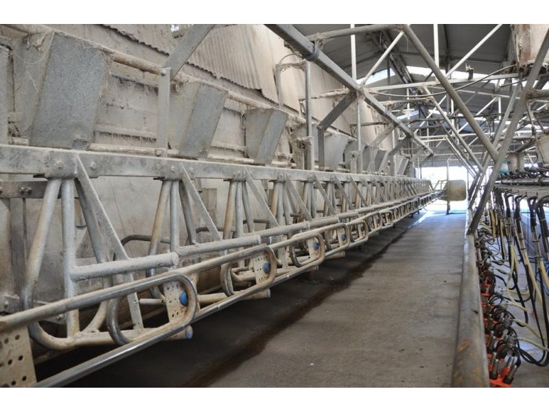 50 Zeerust School Road, Zeerust VIC 3634