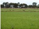- Barham-Deniliquin Rd, Caldwell NSW 2710