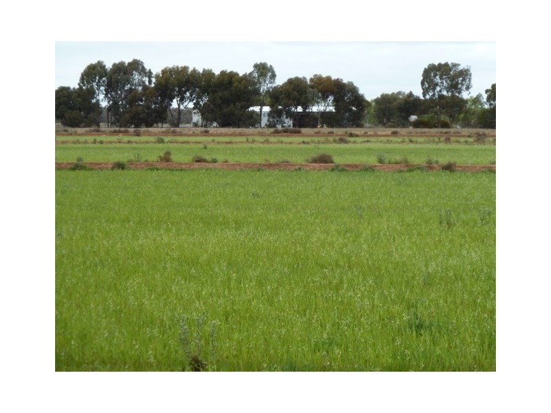 - Barham-Deniliquin Rd, Caldwell NSW 2710