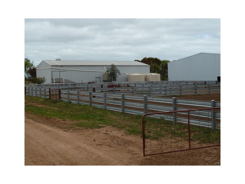 - Barham-Deniliquin Rd, Caldwell NSW 2710