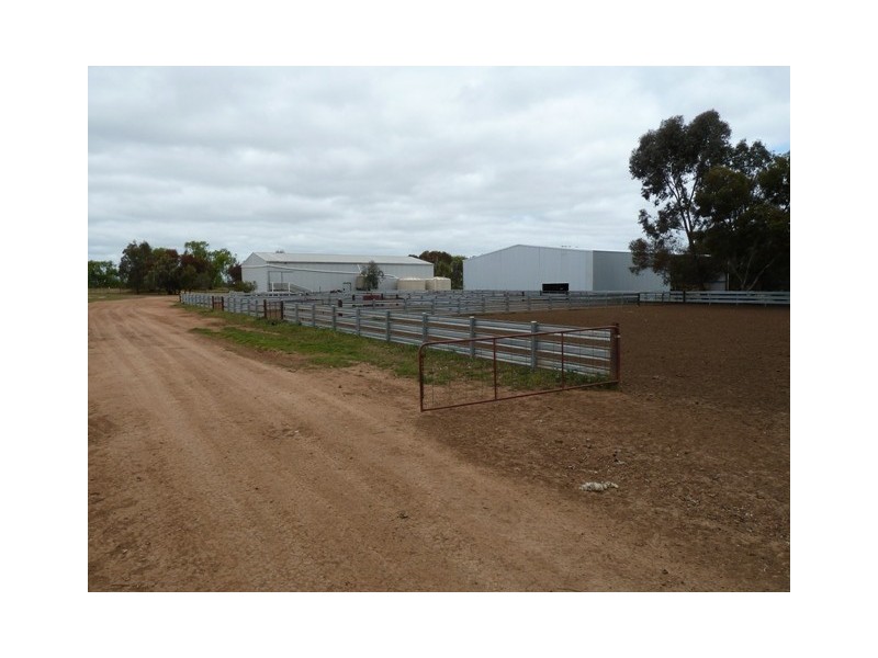 - Barham-Deniliquin Rd, Caldwell NSW 2710
