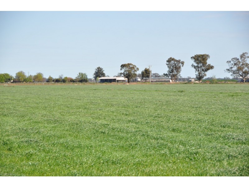 801 Katamatite East School Road, Katamatite East VIC 3649