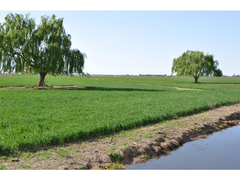 801 Katamatite East School Road, Katamatite East VIC 3649