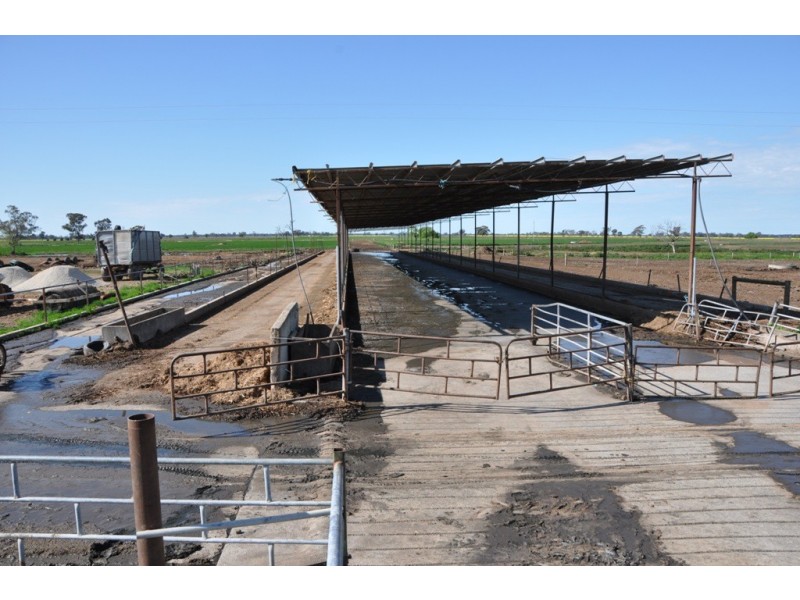 801 Katamatite East School Road, Katamatite East VIC 3649