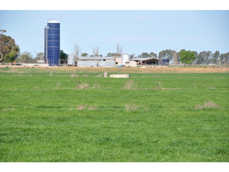 801 Katamatite East School Road, Katamatite East VIC 3649