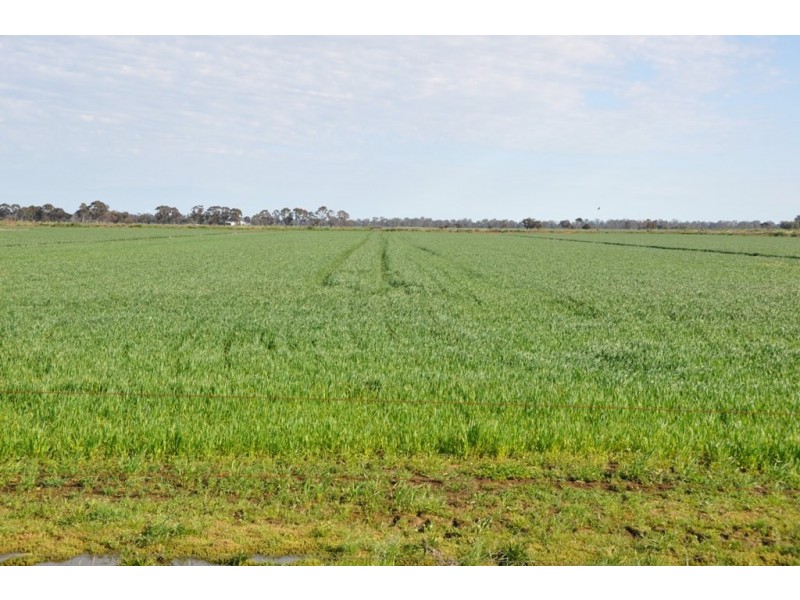 801 Katamatite East School Road, Katamatite East VIC 3649