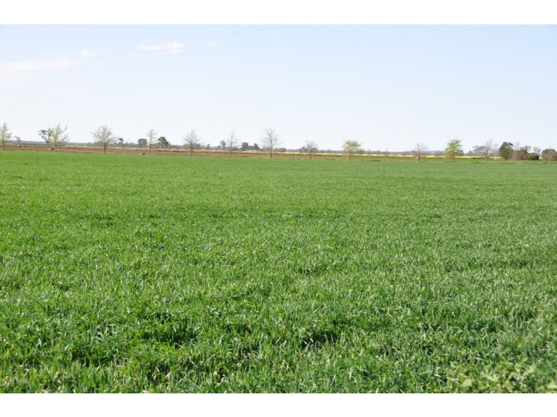 801 Katamatite East School Road, Katamatite East VIC 3649