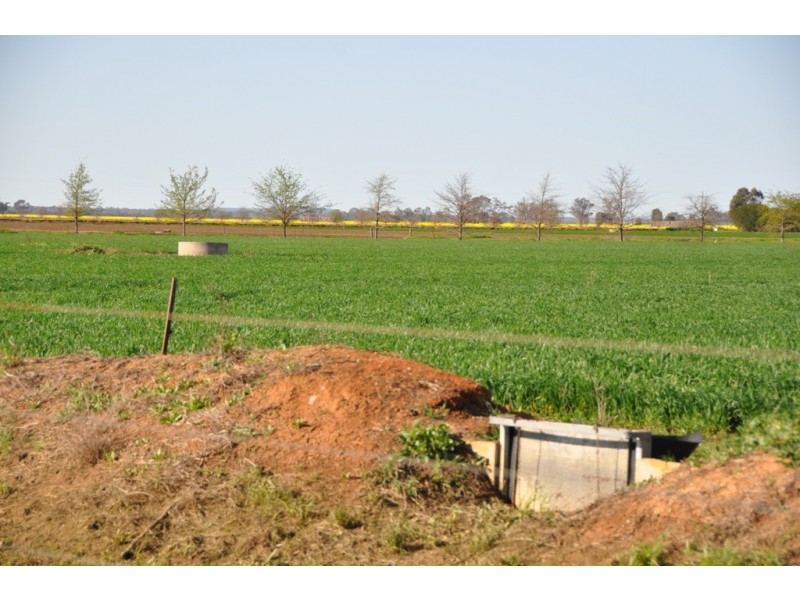 801 Katamatite East School Road, Katamatite East VIC 3649