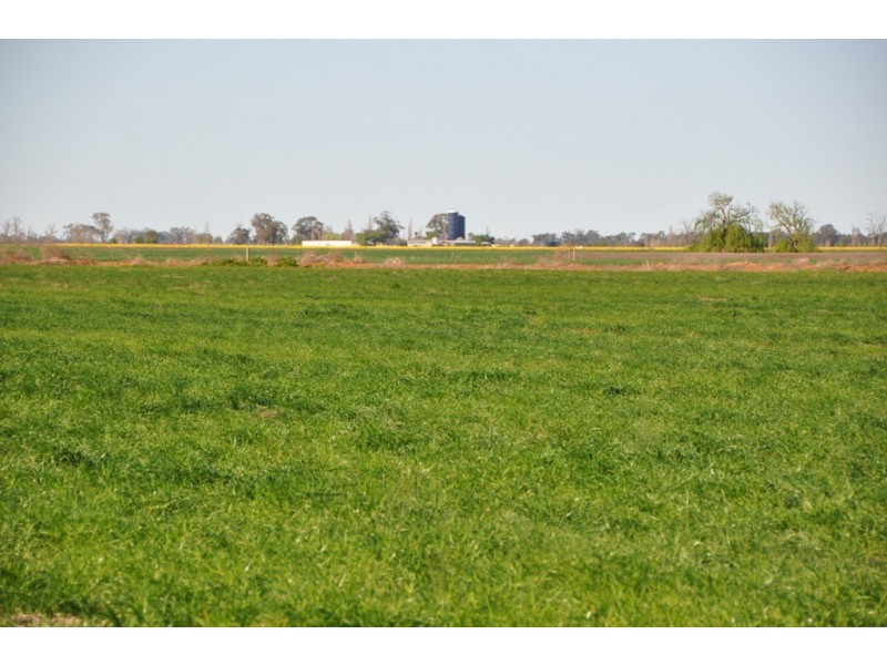 801 Katamatite East School Road, Katamatite East VIC 3649