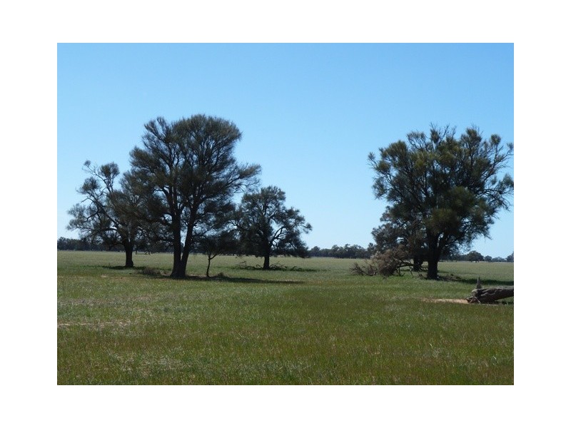 rmb330 Thyra Rd, Moama NSW 2731