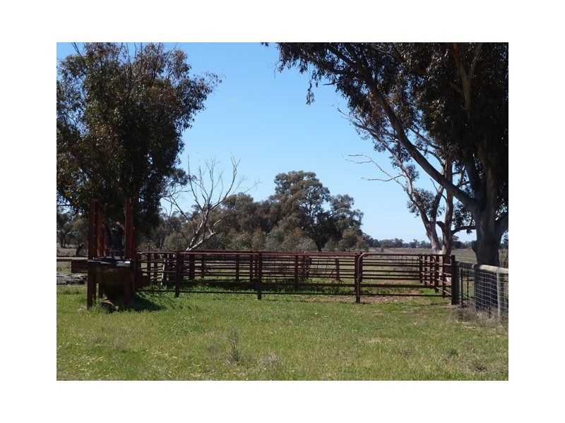 rmb330 Thyra Rd, Moama NSW 2731