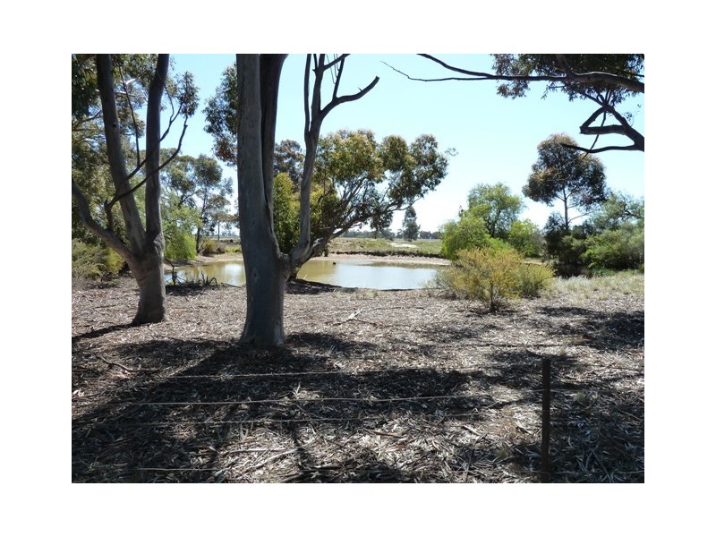 rmb330 Thyra Rd, Moama NSW 2731