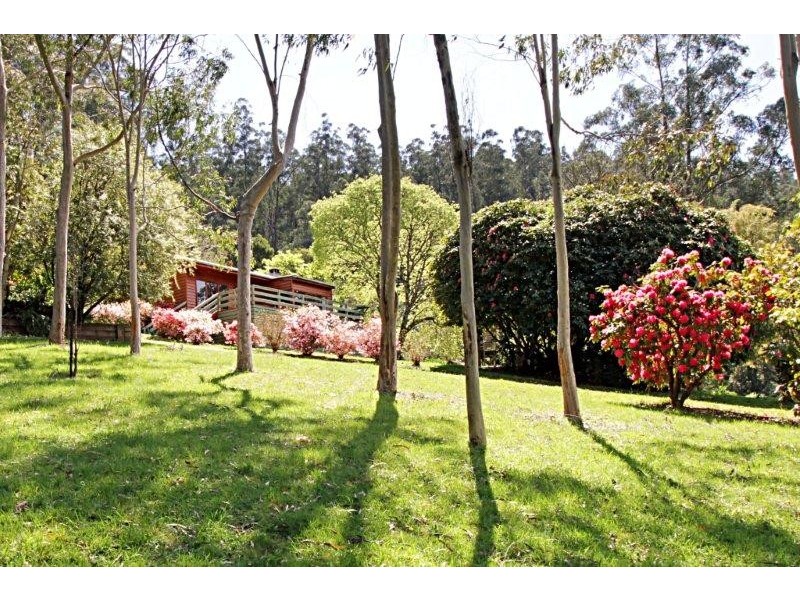 205 Hazelwood Road, East Warburton VIC 3799
