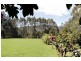 205 Hazelwood Road, East Warburton VIC 3799