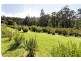 205 Hazelwood Road, East Warburton VIC 3799