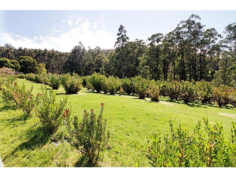 205 Hazelwood Road, East Warburton VIC 3799