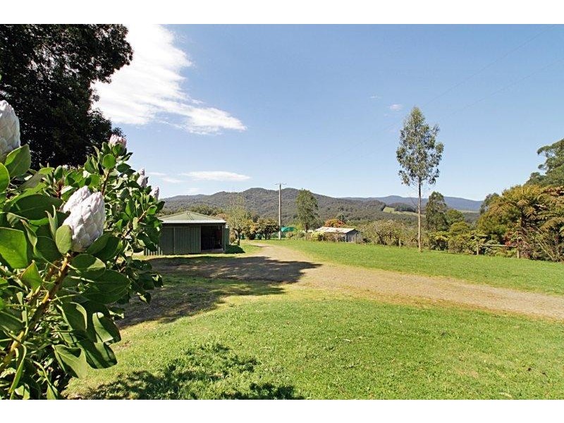 205 Hazelwood Road, East Warburton VIC 3799