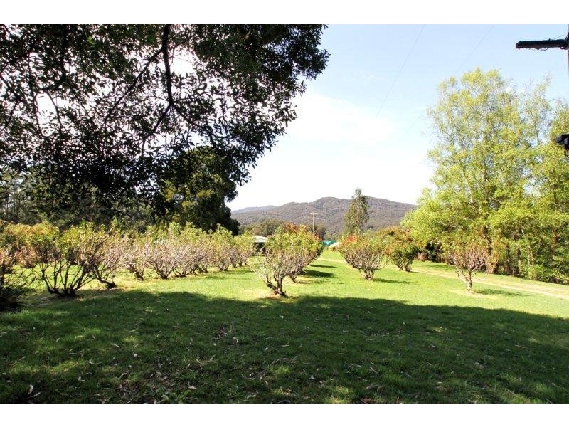 205 Hazelwood Road, East Warburton VIC 3799