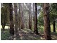 205 Hazelwood Road, East Warburton VIC 3799