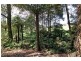 205 Hazelwood Road, East Warburton VIC 3799