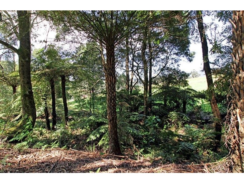 205 Hazelwood Road, East Warburton VIC 3799