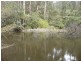 205 Hazelwood Road, East Warburton VIC 3799