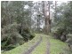 205 Hazelwood Road, East Warburton VIC 3799