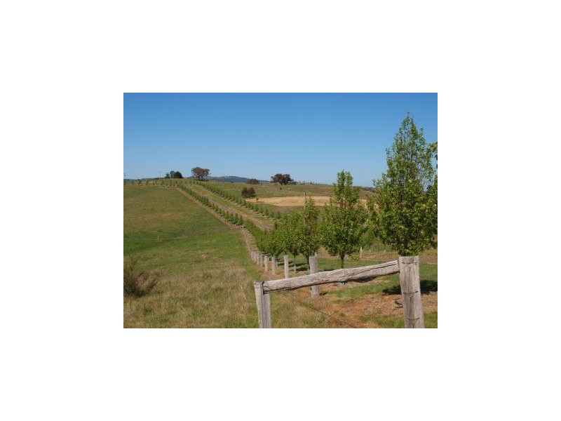 130 Lemarne Road, Broadford VIC 3658