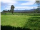 1191 Maroondah Hwy, Narbethong VIC 3778