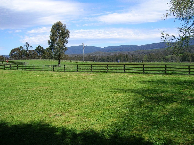 1191 Maroondah Hwy, Narbethong VIC 3778