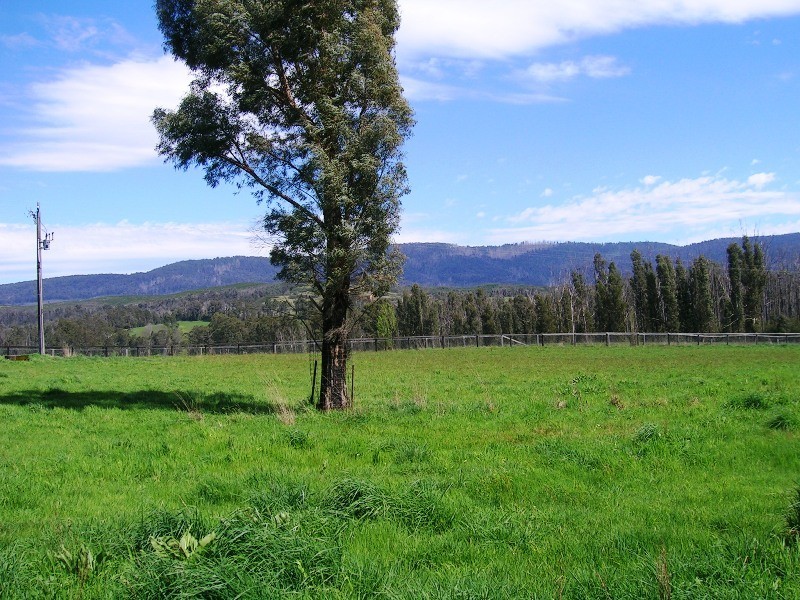 1191 Maroondah Hwy, Narbethong VIC 3778