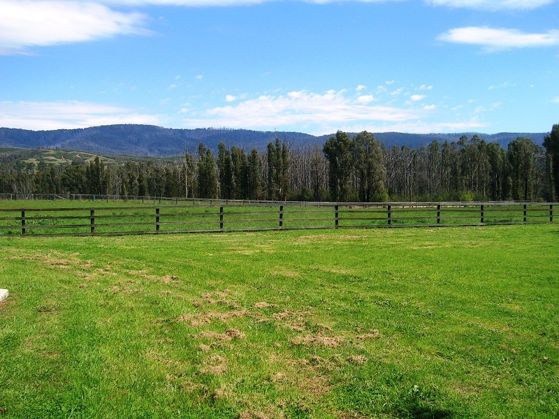 1191 Maroondah Hwy, Narbethong VIC 3778