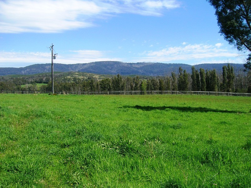 1191 Maroondah Hwy, Narbethong VIC 3778