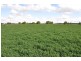 660 SPENCERS ROAD, Katunga VIC 3640
