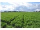 660 SPENCERS ROAD, Katunga VIC 3640