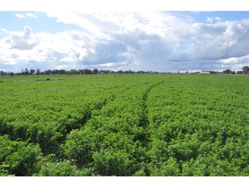 660 SPENCERS ROAD, Katunga VIC 3640