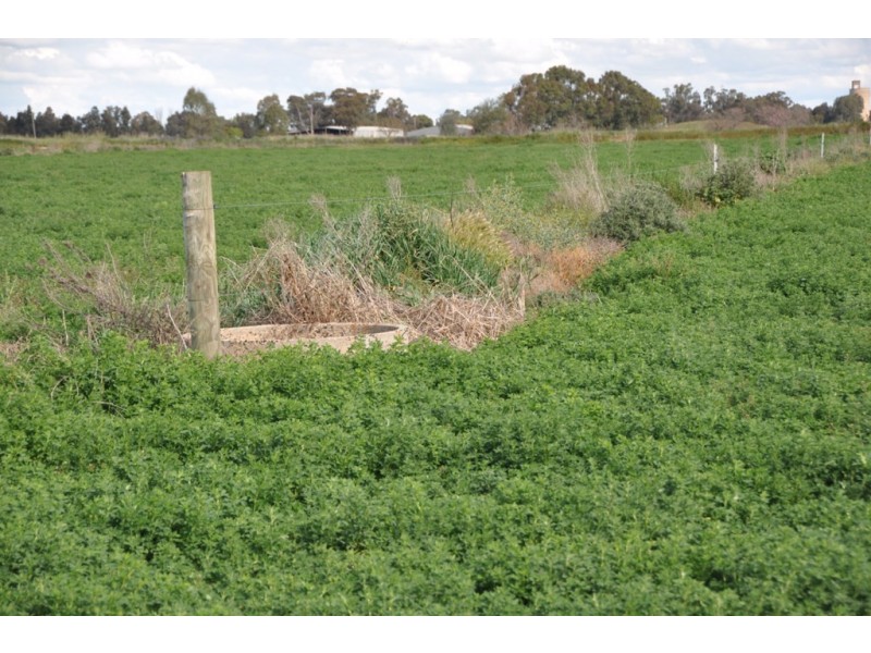 660 SPENCERS ROAD, Katunga VIC 3640