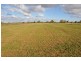 660 SPENCERS ROAD, Katunga VIC 3640