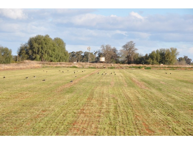 660 SPENCERS ROAD, Katunga VIC 3640