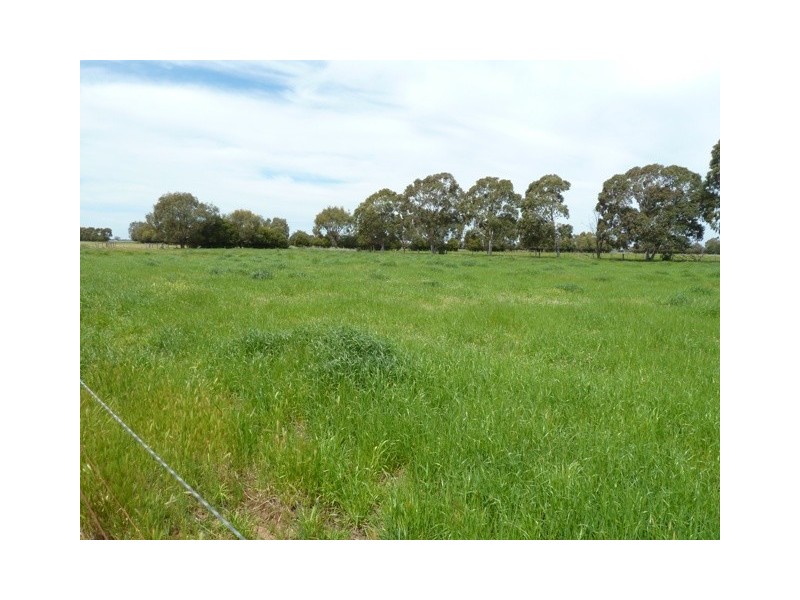 667 Wharparilla Road, Echuca VIC 3564