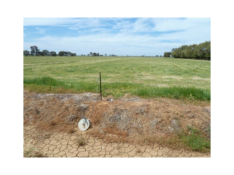 667 Wharparilla Road, Echuca VIC 3564
