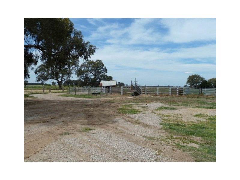 667 Wharparilla Road, Echuca VIC 3564