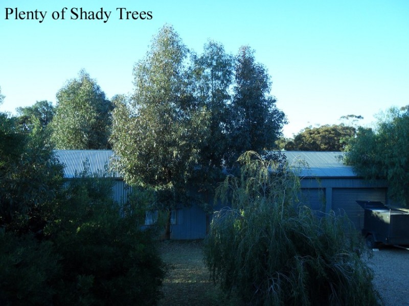 47-49 Elizabeth Street, Donald VIC 3480