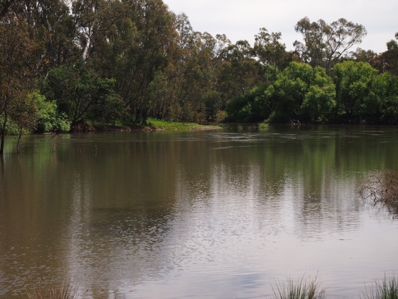 575 Selectors Road, Nagambie VIC 3608